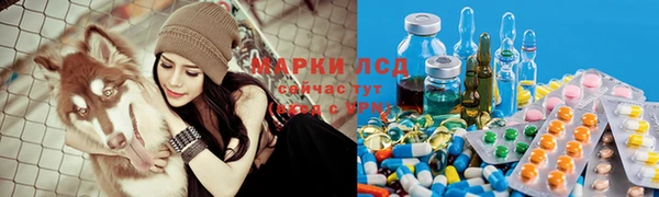 прущие грибы Бугульма